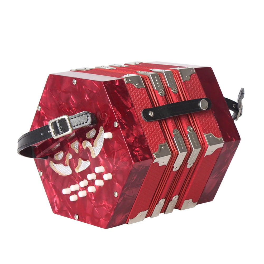 20 button concertina with handbag adult junior professional playing