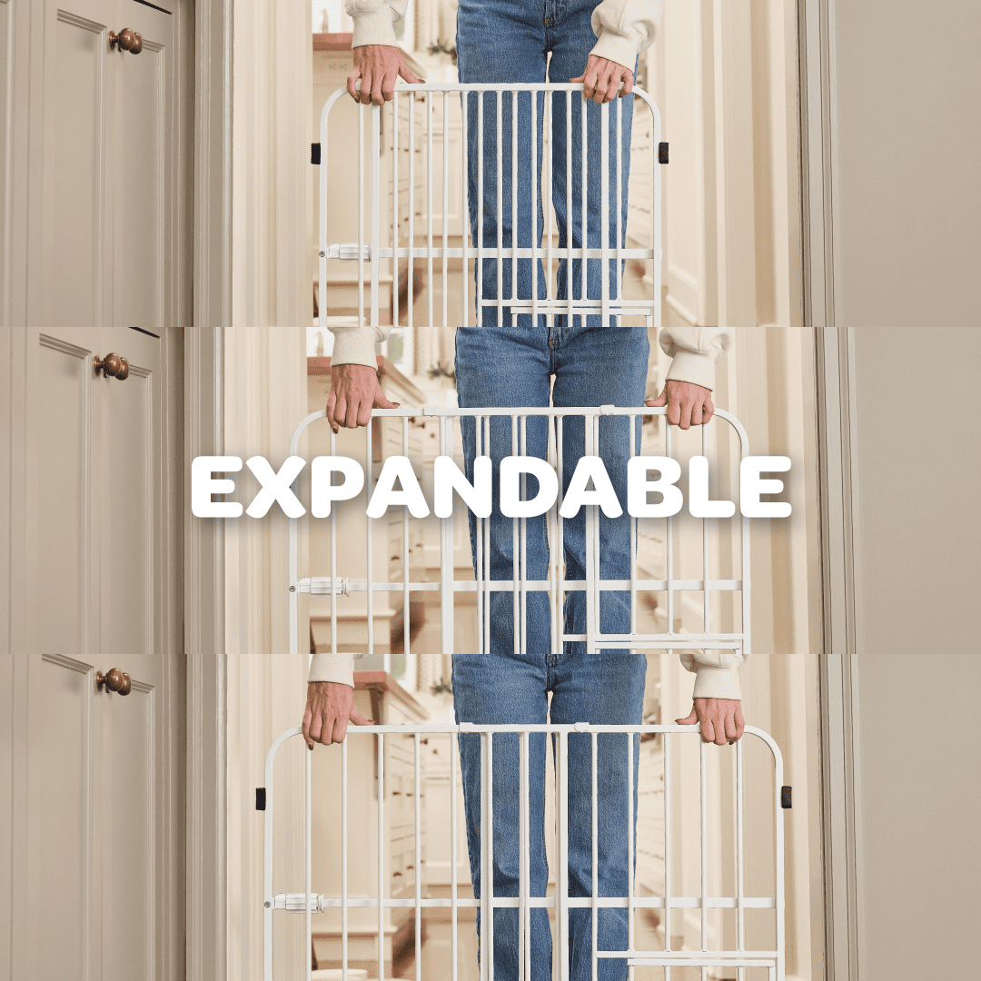 Carlson Pet Products Tuffy Metal Expandable Pet Gate, Includes Small Pet Door, 24" H x 42" L Inch, White