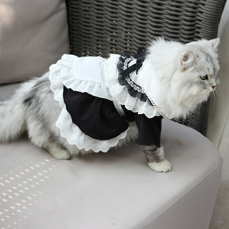bridesmaid dresses for cats MissyMoMo Dog & Cat Dress with Sailor Collar, Cute Dress for Cats, XL, Medium Orchid