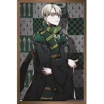 The Wizarding World: Harry Potter - Dynasty Draco Wall Poster, 22.375" x 34" Framed