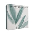 thumbnail image 3 of SET ADOLFO DOMINGUEZ BAMBU 3PZS 120ML EDP SPRAY/ DESODORANTE 150ML SPRAY/ 10ML EDP SPRAY, 3 of 3