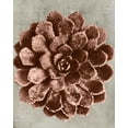 thumbnail image 2 of Vision Studio 26x32 White Modern Wood Framed Museum Art Print Titled - Blossfeldt Redeux II, 2 of 4