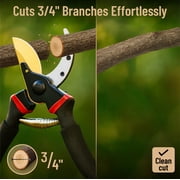 Mr. Pen- Pruning Shears, Garden Shears, 8 Professional, Titanium Blade, Garden Scissors, Gardening Shears
