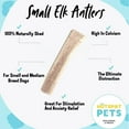 thumbnail image 4 of HotSpot Pets Premium Split Elk Antlers for Small Dogs, 4''-5'' Naturally Shed Antler Bone, Made in USA (3 Pack), 4 of 8
