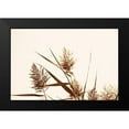 thumbnail image 2 of Larson, Nathan 24x17 Black Modern Framed Museum Art Print Titled - Country Grasses I, 2 of 5