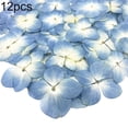 thumbnail image 1 of Flmtop 12Pcs Pressed Dried Flower Plant Specimen Epoxy Resin Phone Decor DIY Accessory, 1 of 11