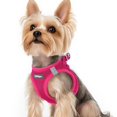 thumbnail image 1 of Chaleco Dog Harness Rabbitgoo Step-in de malla suave para cachorros XS, 1 of 5