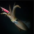 thumbnail image 4 of NIBOLOG Squid Jig Hook 8/10 Needles with Eye Sharp Bright Color Strong Penetration Fish Attraction Universal Glow in Dark Cuttlefish Sleeve Octopus Fishing Lure Hook Fishing Supplies, 4 of 8