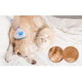 thumbnail image 5 of Self-Cleaning Slicker Brush for Dogs & Cats: Pet Grooming Tool for Long Haired & Short Haired Breeds, 5 of 6