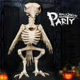 thumbnail image 1 of Huesos de esqueleto de animales de plástico de cuervo esqueleto para decoración de Halloween de terror ZefeiWu 1327533448581, 1 of 1