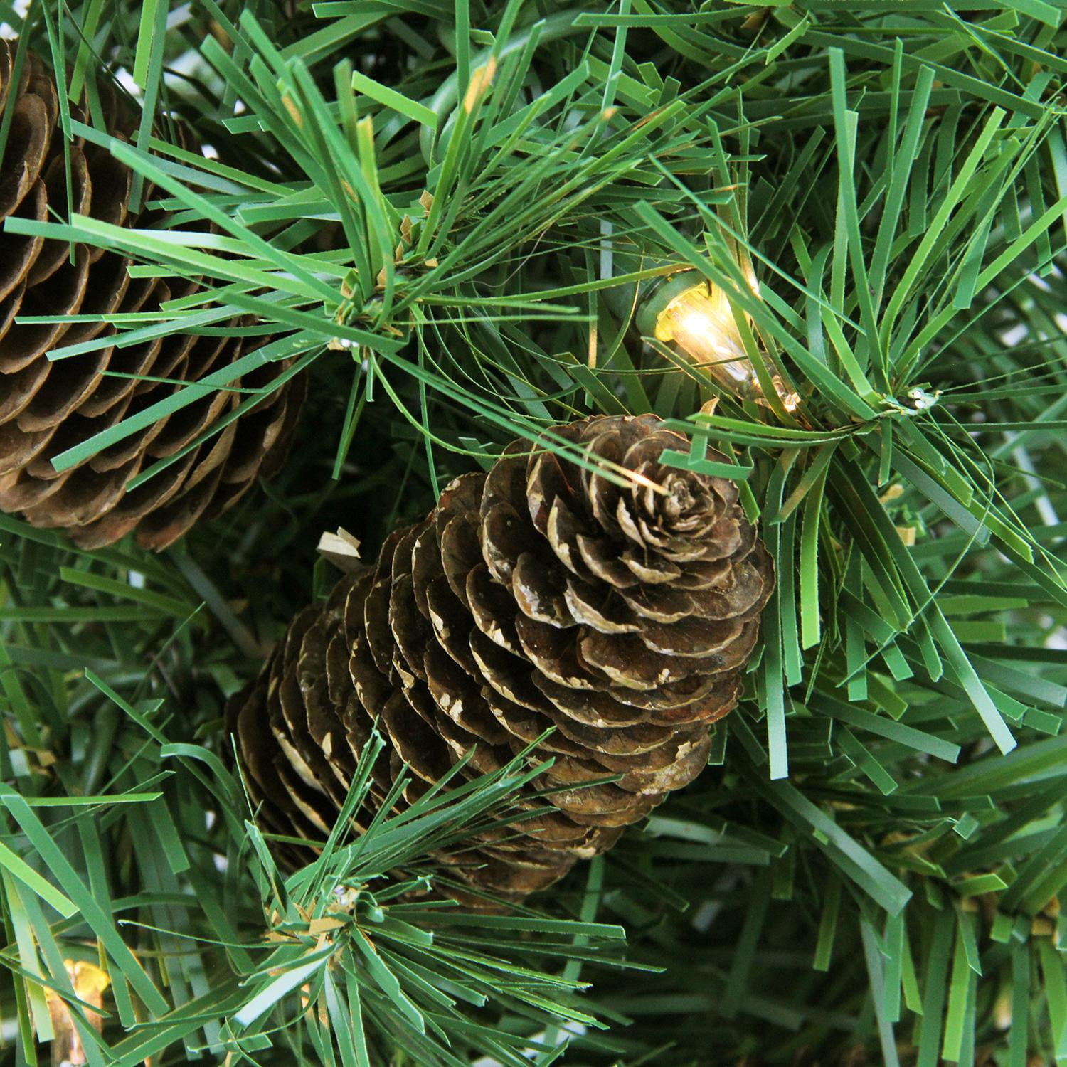 2' x 15" Pre-Lit Dakota Red Pine Full Artificial Christmas Tree - Clear Lights