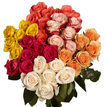 GlobalRose 100 Roses for the Best Price