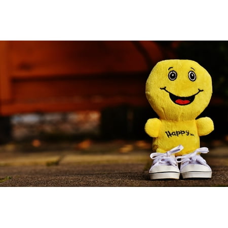 Canvas Print Laugh Sneakers Emoticon Emotion Funny Smiley Stretched Canvas 32 x