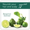 thumbnail image 7 of Blue Magic Bergamot Hair & Scalp Conditioner, 12 oz, Dry, Conditioning, Adult, Moisturizing, 7 of 7