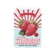 thumbnail image 2 of Playera Blusa De Fresas Strawberry Vintage Retro Ropa Casual Para Mujer Color Blanco Talla Chica Marca Emil SaEs, 2 of 4