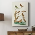 thumbnail image 5 of Antique Birds in Nature III Premium Gallery Wrapped Canvas - Ready to Hang, 5 of 9