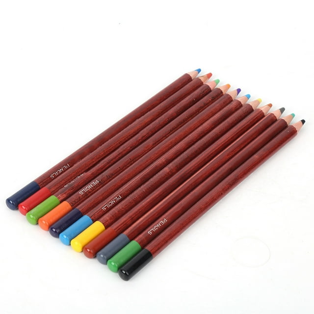 Pastel Chalk Colored Pencils,12Pcs Pastel Colored Pencils,Color Charcoal Pencils for Sketching, Drawing, Shading, Coloring, Layering