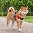 thumbnail image 4 of AuroraX Breathable No Pull Dog Harness Outdoor Dog Harness Chest Strap Reflective Adjustable Comfortable Easy On Dog Harness for Walking Training Red, 4 of 6