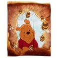 thumbnail image 3 of Kids Winnie the Pooh Cartoon Soft Warm Bed Blankets Microfiber Blankets and Throws Cozy Reversible Microfiber Light Weight Living Room/Bedroom Warm Blanket, 3 of 10