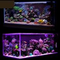 thumbnail image 5 of Aquarium Light Bulb 200W Plants Growing Lights Fish Tank Lights, Full Spectrum Fish Tank Lamp Aquatic Plants Saltwater Tank Coral ,Super Long Life, 5 of 7