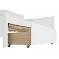 thumbnail image 4 of Miniyam Wooden Twin Size Daybed with 2 Drawers, Sofa Bed for Bedroom Living Room, White, 4 of 8