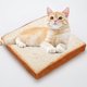 thumbnail image 1 of Indoor cat bed, cat and small dog pet cushion creative toast bread slice mattress (sponge core), 1 of 4