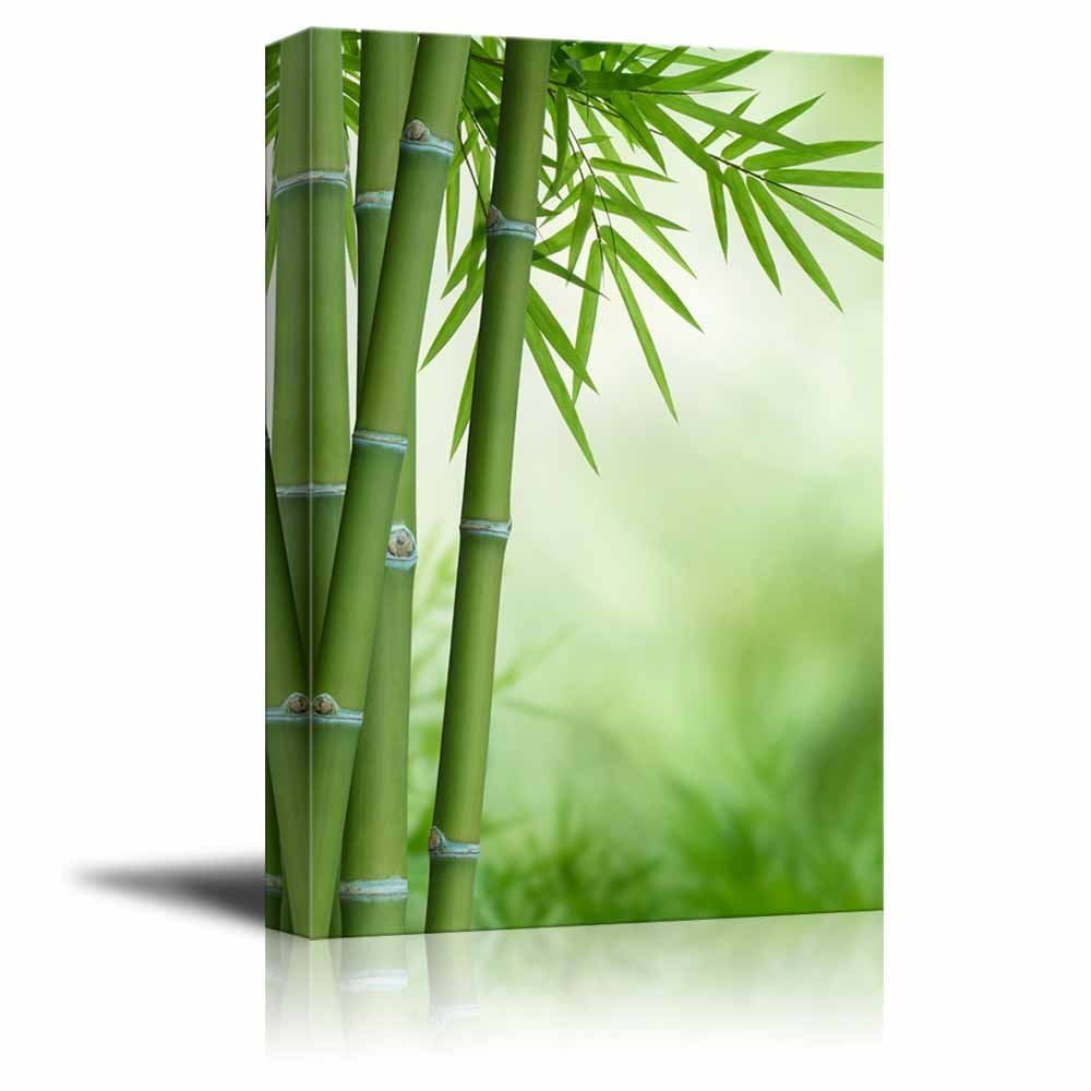 Wall26 Canvas Prints Wall Art Green Bamboo Stalks And Leaves Modern Wall Decor Home Decoration Stretched Gallery Canvas Wrap Giclee Print Ready To Hang 12 X 18 Walmart Com Walmart Com