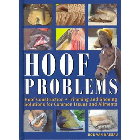 walmart problems and solutions This solution is more cost effective that creating a team of workers who can implement the national brand the biggest problems of wal-mart are aggressive. walmart problems and solutions This solution is more cost effective that creating a team of workers who can implement the national brand the biggest problems of wal-mart are aggressive.