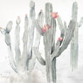 thumbnail image 3 of Coulter, Cynthia 12x12 Black Modern Framed Museum Art Print Titled - Cactus Garden Gray Blush II, 3 of 5