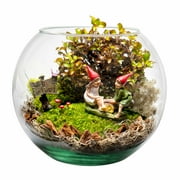 ProFlora Green True Moss Sheet, 2oz Floral Arranging Supplies