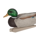 thumbnail image 2 of Floating Decoy Duck Decoy Drake with Weighted Floating Keel for Fishing 31x15x15cm, 2 of 7