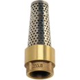 thumbnail image 1 of 1" Foot Valve - Brass and Stainless Steel, 1 of 1