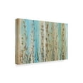 thumbnail image 2 of Trademark Fine Art 'Ombre Floral I' Canvas Art by Tim OToole, 2 of 4