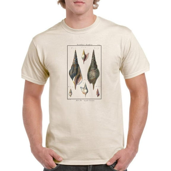 Sea Shell Iii T-Shirt Men -Denis Diderot Designs, Male XX-Large