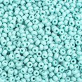 thumbnail image 1 of 8/0 Turquoise  Czech Seedbeads 40 grams, 1 of 1