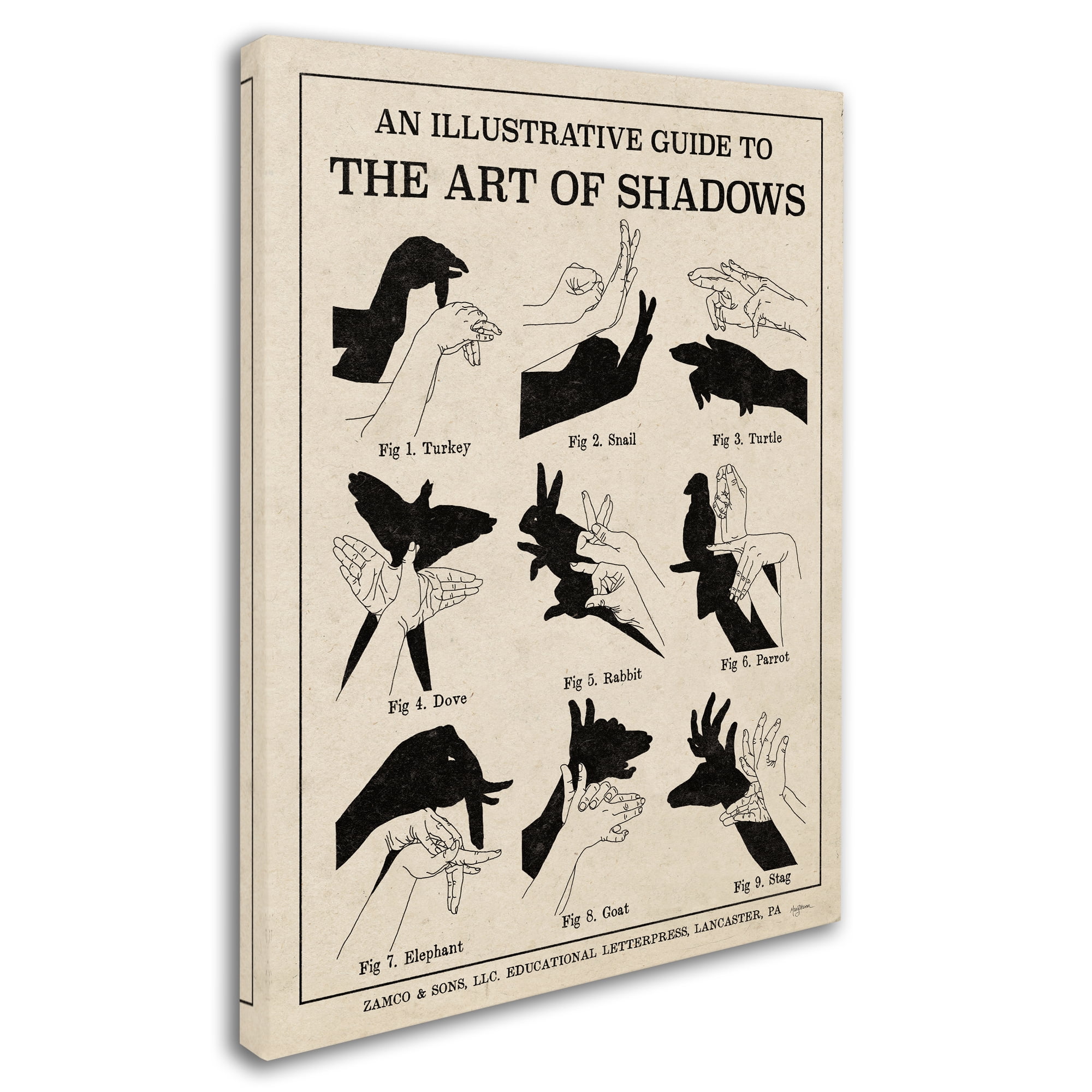 Trademark Fine Art 'The Art of Shadows X' Canvas Art by Mary Urban