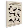thumbnail image 2 of Trademark Fine Art 'The Art of Shadows X' Canvas Art by Mary Urban, 2 of 3