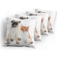 thumbnail image 5 of Ambesonne Pug Throw Pillow Cover 4 Pack, Kitten and Puppy Photo, 20", Orange White Cream, 5 of 7
