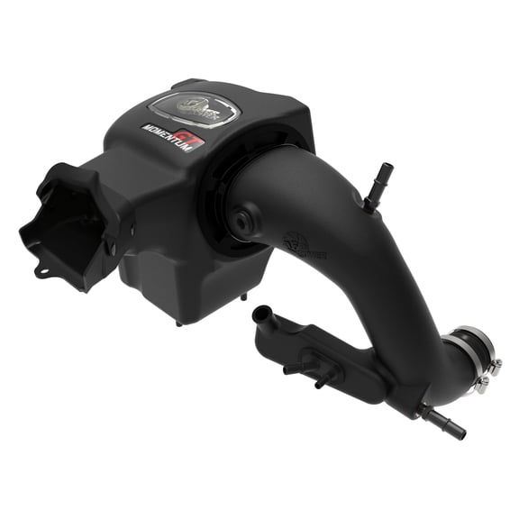 Momentum GT Cold Air Intake System w/ Pro GUARD 7 Filter