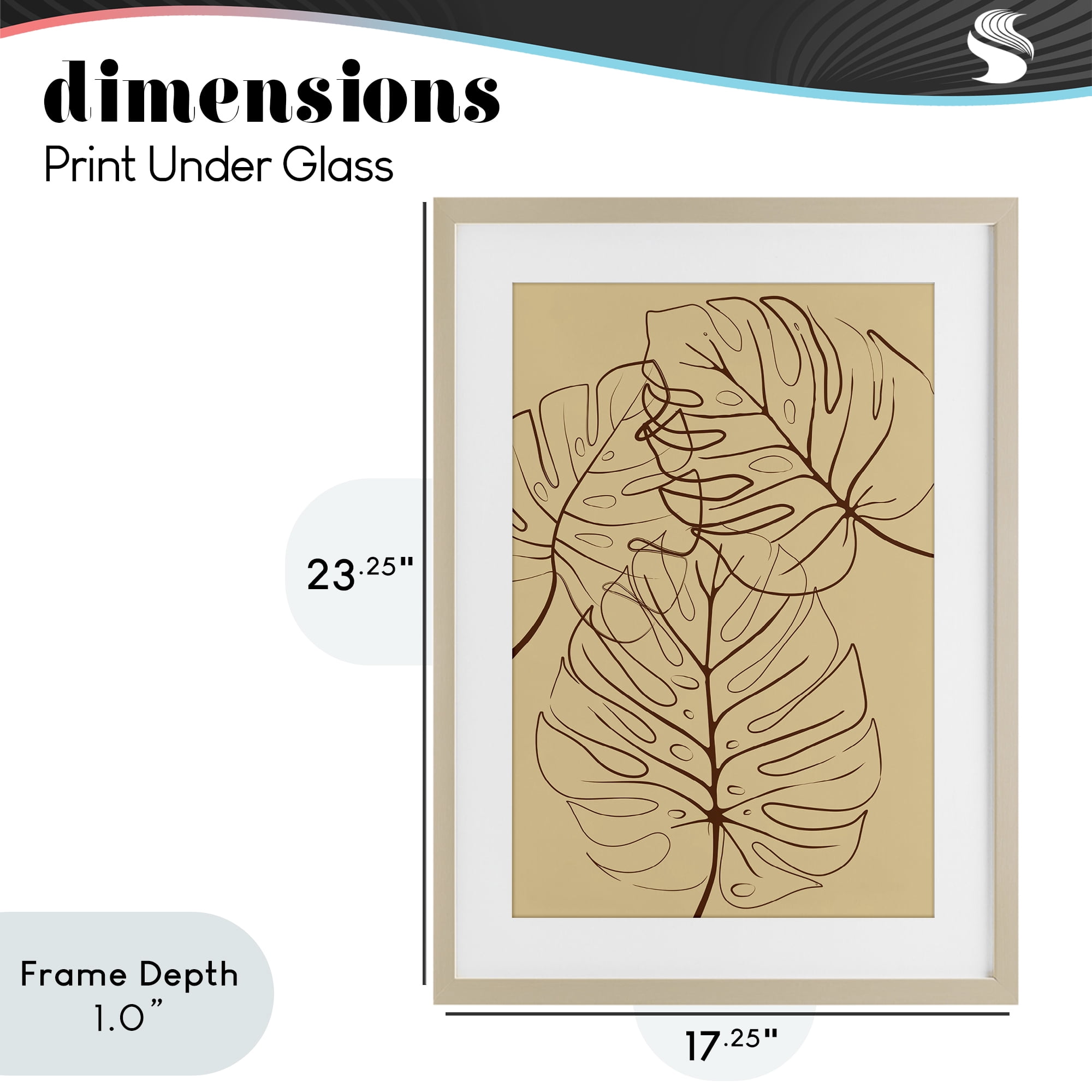 Stupell Industries Autumn Monstera Leaf Contour Birch Framed Print Under Glass, design by Martina Pavlova