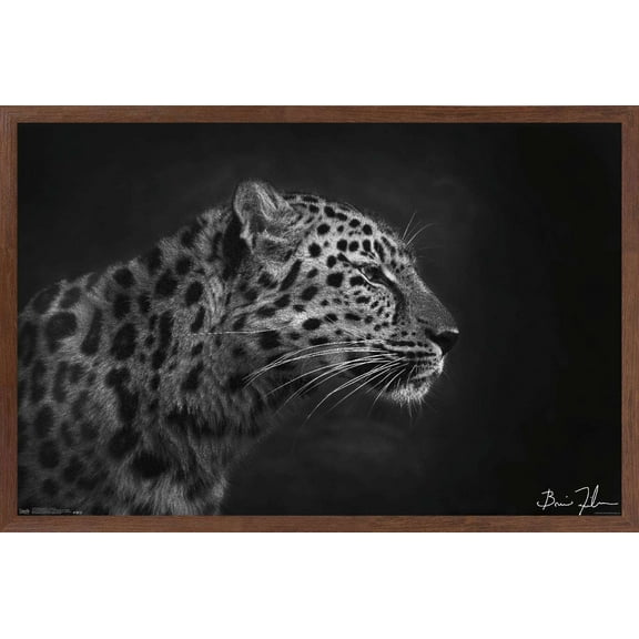 5FishCreative - Leopard Portrait Wall Poster, 14.725" x 22.375", Framed