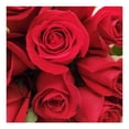 thumbnail image 2 of Bouquet de rosas 24 tallos, 2 of 2