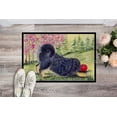 thumbnail image 2 of Carolines Treasures SS8612MAT Paillasson Intérieur Extérieur 18 x 27 Po. Tibetan Mastiff, 2 of 4