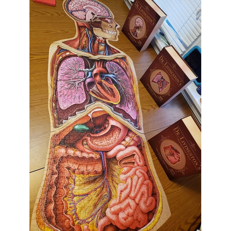 Human Head Anatomy Jigsaw Puzzle | Dr Livingston's Unique Shaped
