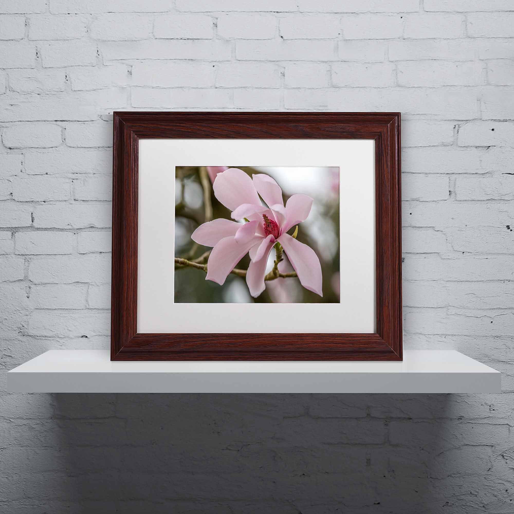 Trademark Fine Art "Magnolia" Canvas Art by Pierre Leclerc, White Matte/Wood Frame