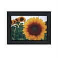 thumbnail image 2 of Midwest Livin' II by Donnie Quillen Print Wall Art Wood Multi-Color, 2 of 4