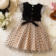 thumbnail image 2 of JUMEYU Dress for Kids Toddler Baby Girls Dresses Pageant Wedding Flower Girls Dress Formal Gowns Embroidered Lace Dress 3T 4T (Black,3-4 Years), 2 of 8