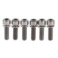 thumbnail image 1 of Tornillos de Vástago de Titanio oso de fresa 6 piezas M5 x 18 mm, 1 of 10