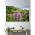 thumbnail image 2 of Fireweed On A Mountain Photography Print Poster Wall Art, Modern Wall Decor, 8x12 UNFRAMED, 2 of 3