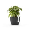 thumbnail image 4 of Ecopots Stockholm 6.2" x 4.9" Round Dark Gray Plastic Modern Planter, 4 of 4
